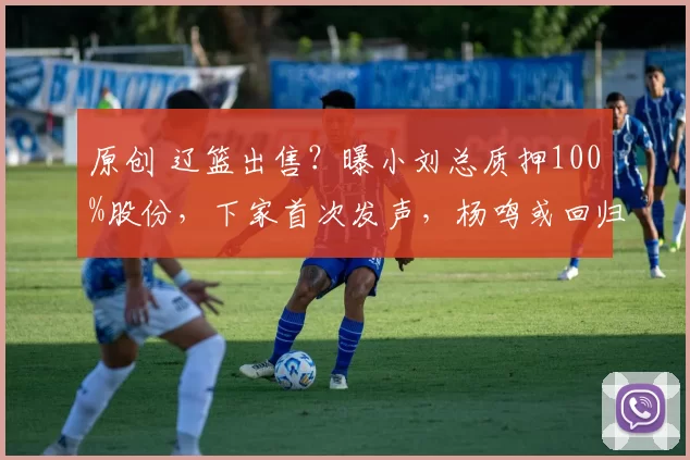 原创 辽篮出售？曝小刘总质押100%股份，下家首次发声，杨鸣或回归