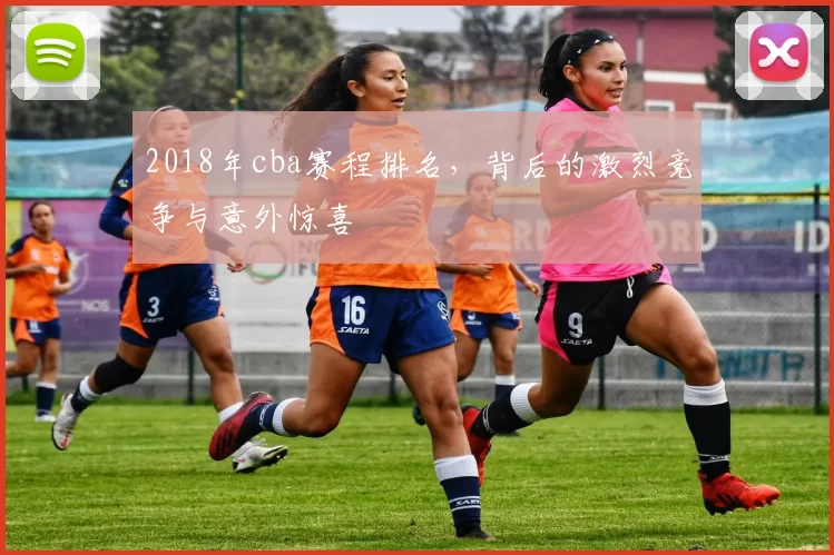 2018年cba赛程排名，背后的激烈竞争与意外惊喜