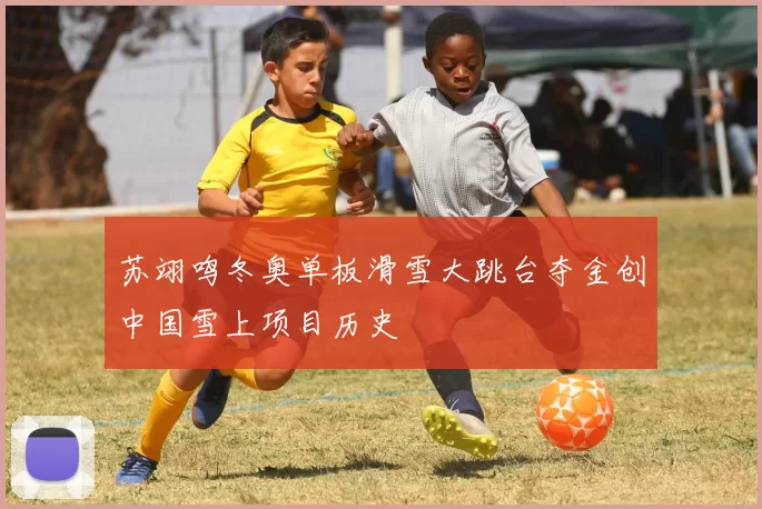 苏翊鸣冬奥单板滑雪大跳台夺金创中国雪上项目历史