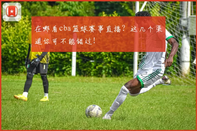 在哪看cba篮球赛事直播？这几个渠道你可不能错过！