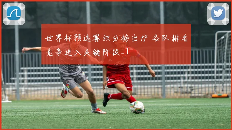 世界杯预选赛积分榜出炉 各队排名竞争进入关键阶段_1